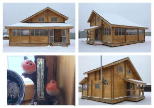 Country House “Ranch” (Double Timber)