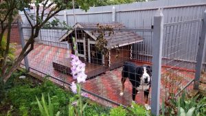 Dog House “Gav House 2”