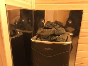 The “Firebird” Sauna