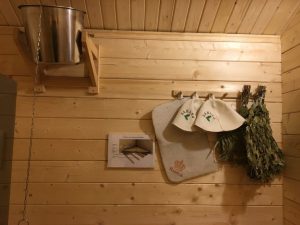 The “Firebird” Sauna