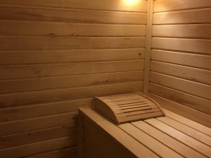 The “Firebird” Sauna